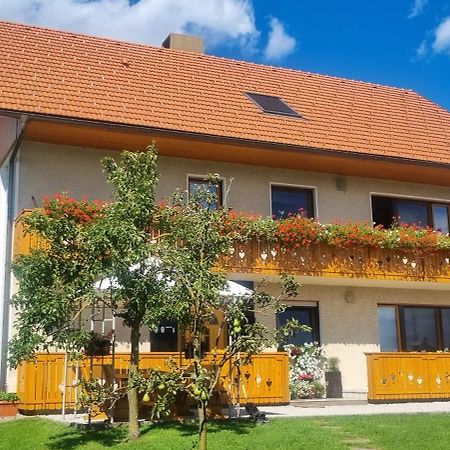 Apartma Ana In Manca Begunje na Gorenjskem Εξωτερικό φωτογραφία