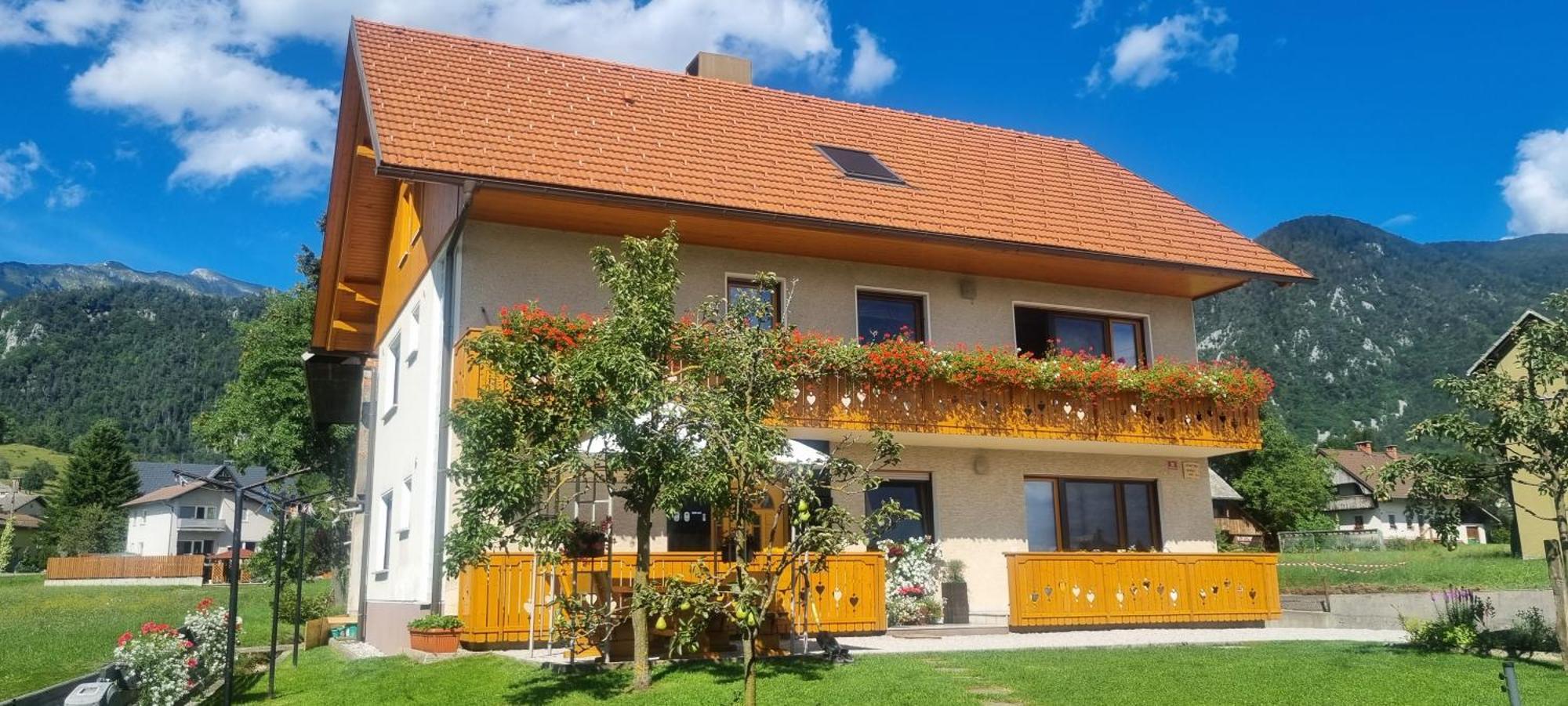 Apartma Ana In Manca Begunje na Gorenjskem Εξωτερικό φωτογραφία